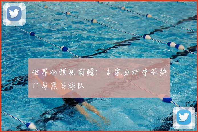 世界杯预测前瞻：专家分析夺冠热门与黑马球队