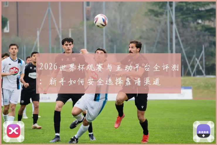 2026世界杯观赛与互动平台全评测：新手如何安全选择靠谱渠道