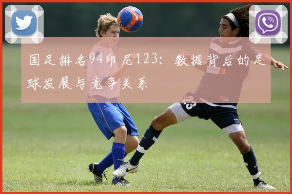国足排名94印尼123：数据背后的足球发展与竞争关系